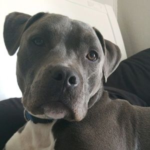 Meet your Posher, Elisa